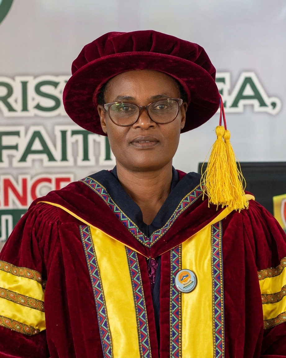 Mr. Chidi Okonkwo